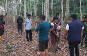 Curi Tandan Sawit di Kebun Hikmah II PT PAR, Pria Ini Ditangkap Polisi