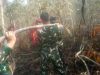 Pantang Menyerah, Satgas Karhutla Koramil 402-08/Pampangan Padamkan Api di Desa Sungai Bungin
