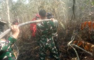 Pantang Menyerah, Satgas Karhutla Koramil 402-08/Pampangan Padamkan Api di Desa Sungai Bungin