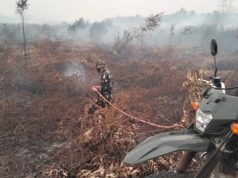 Gerak Cepat TNI Tangani Karhutla di Kelurahan Timbangan, Api Berhasil Dipadamkan