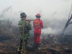 Api Belum Padam, Tim Gabungan Terus Berjibaku Tangani Karhutla di Tulung Selapan