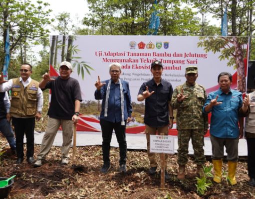 Dua Dekade Bebas Karhutla, Restorasi Lahan Gambut di Sepucuk OKI Jadi Rujukan Nasional