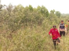 Patroli Terpadu Cegah Karhutla di Desa Pulau Muning, Hotspot Nihil